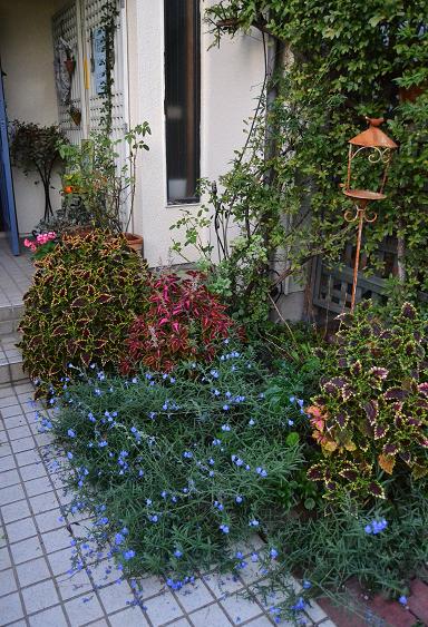 DSC_0230.JPG