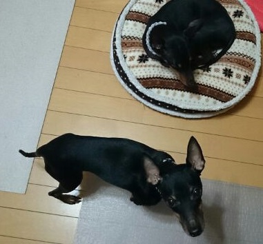 1409144191018.jpg