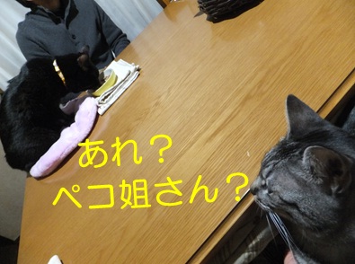 20121107_2.jpg