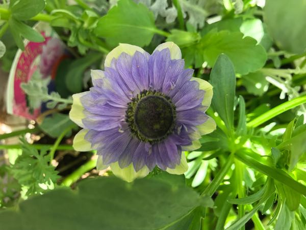 rblog-20180408162606-07.jpg