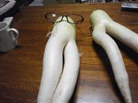 20150604大根.jpg