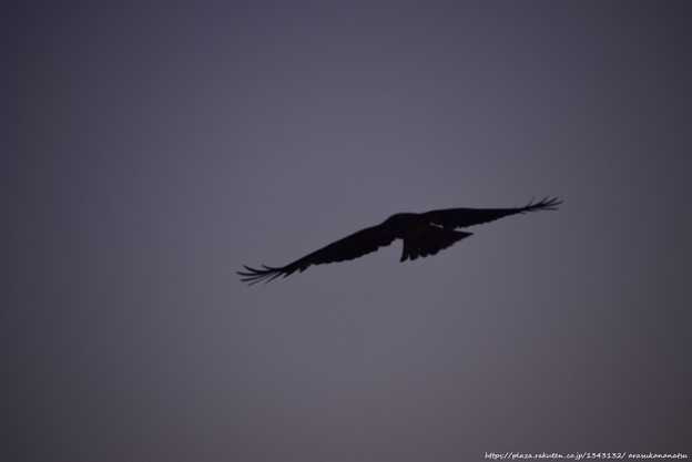 スティーブン・ホーキング博士が自分の死と神についてどう考えていたかを知る