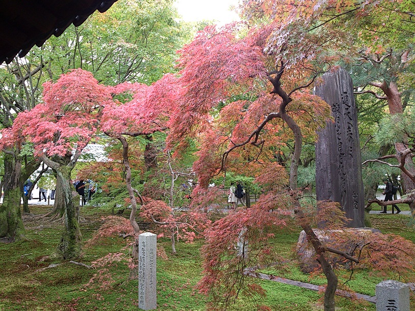 DSC_1869 - コピー.jpg