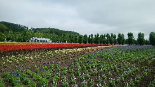 rblog-20180727073604-00.jpg