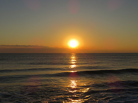 IMG_0910.jpg
