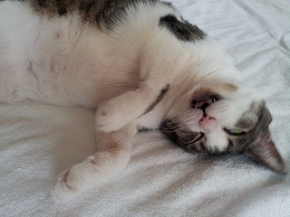 2013-07-21 17.00.24ss.jpg