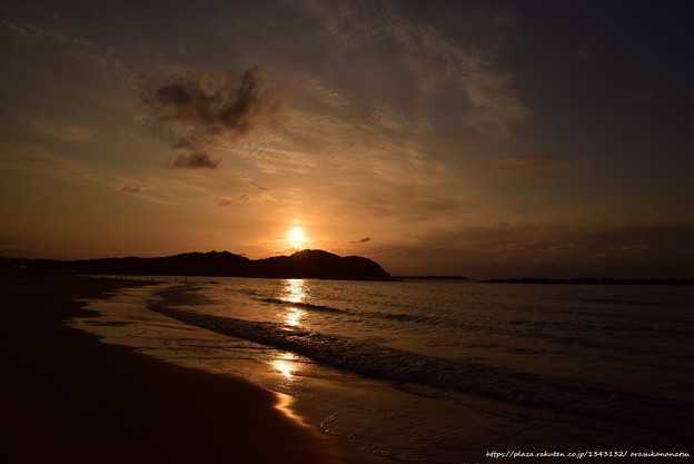 ムカデに刺される ムカデに刺されたらどうなるの?