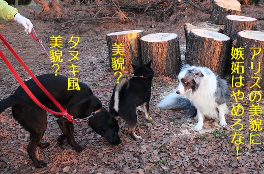 美貌