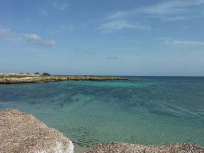 267 (400x300).jpg