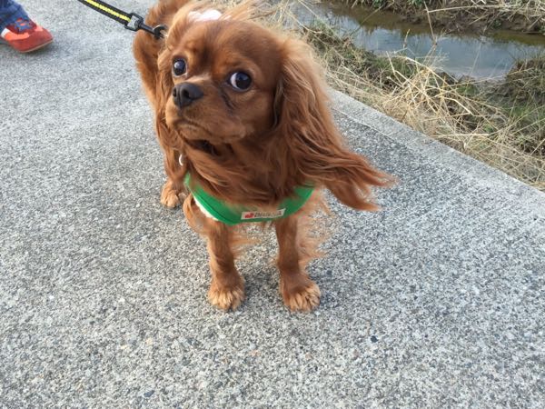 rblog-20160102213409-06.jpg