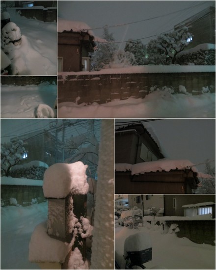 大雪のテディベアテラス2.jpg