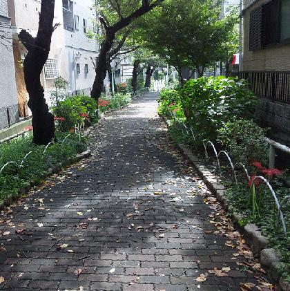 画像 162.jpg