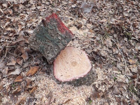 042223.gif