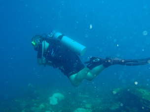 P5297640.JPG