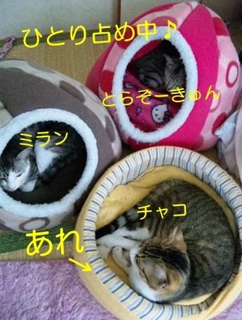 20121205_7.jpg