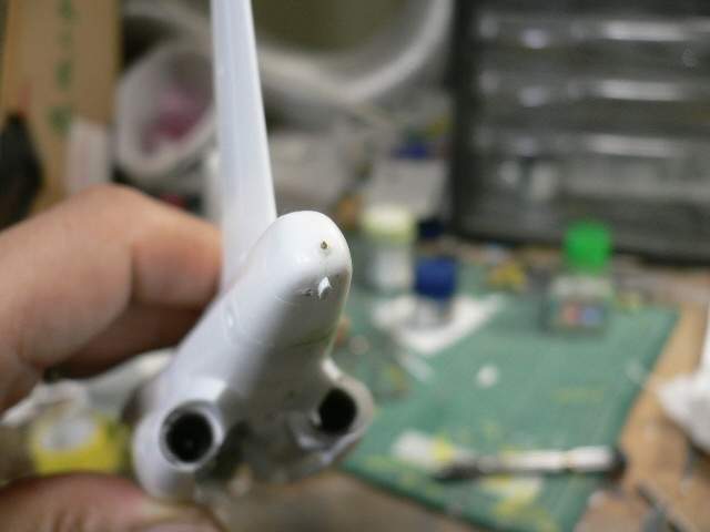P1050250.jpg