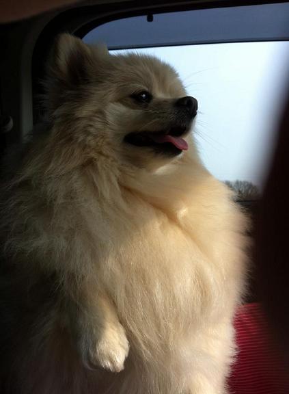 こっちもボックスの中