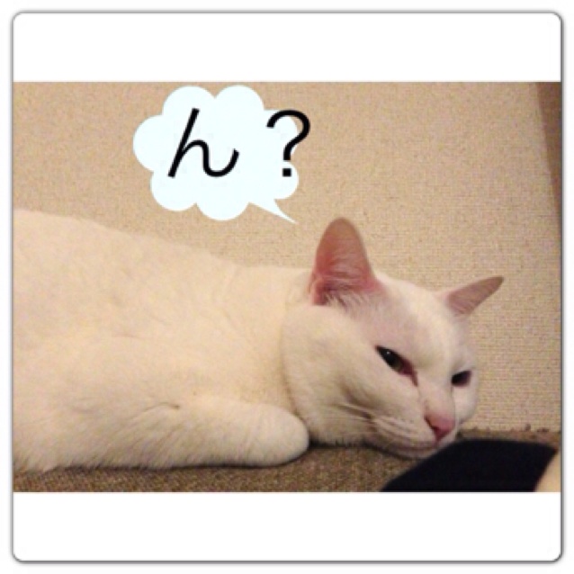 rblog-20130430165214-00.jpg