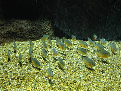 IMG_3826.jpg