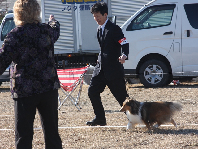 IMG_0410 - コピー.JPG