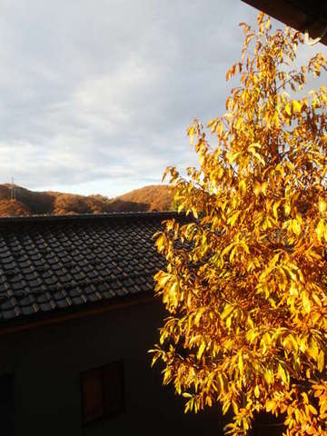 nitijou131130006