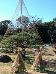 雪釣り.jpg