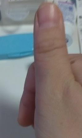 サンプル画像