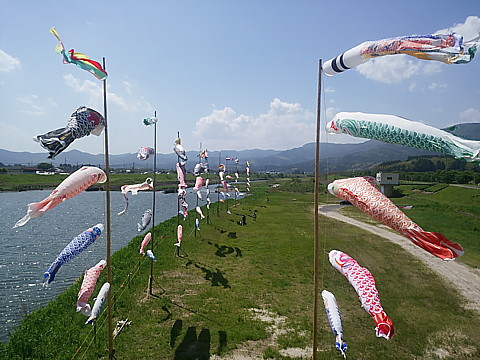 IMG_20160504_140140.jpg