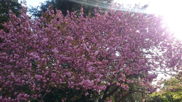 2015-04-18 15.28.58.jpg