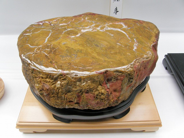 錦珪化木「大秋川産」　重量40キロ以上！