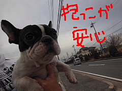 conv0023.JPG