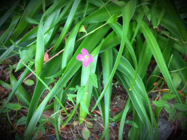 rblog-20160528224739-02.jpg