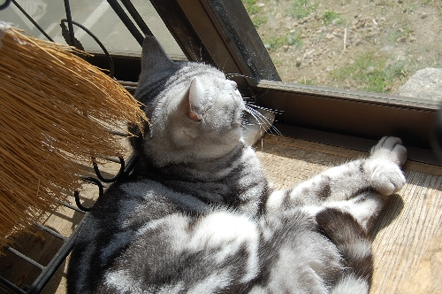 DSC_0032.JPG