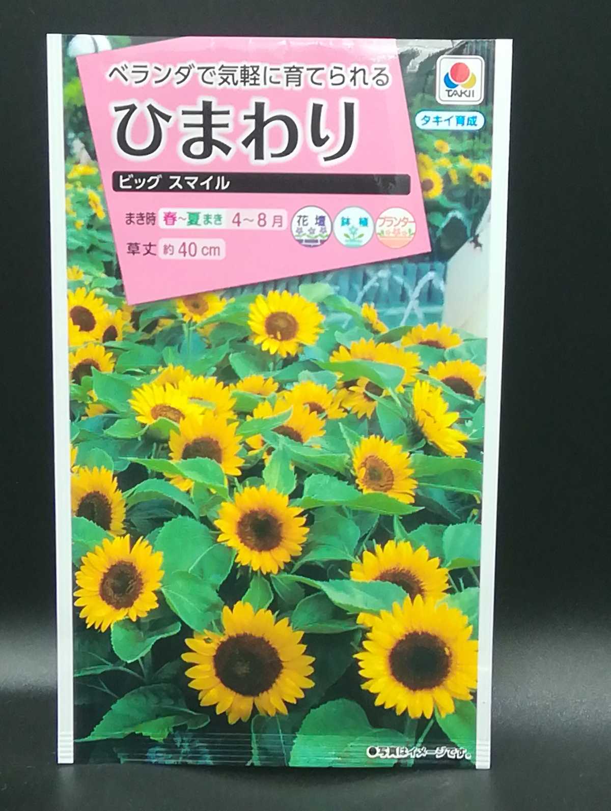 🌻こ・・今年こそ・・・🌻 | ムシトリ観察 - 楽天ブログ