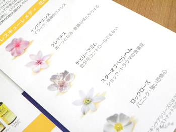 株式会社プルナマインターナショナル レスキューパステル