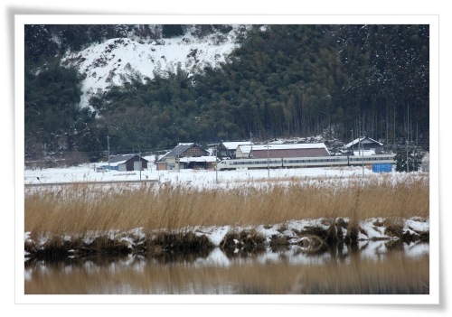 邑知潟-11 サンダーバード 13.1.5