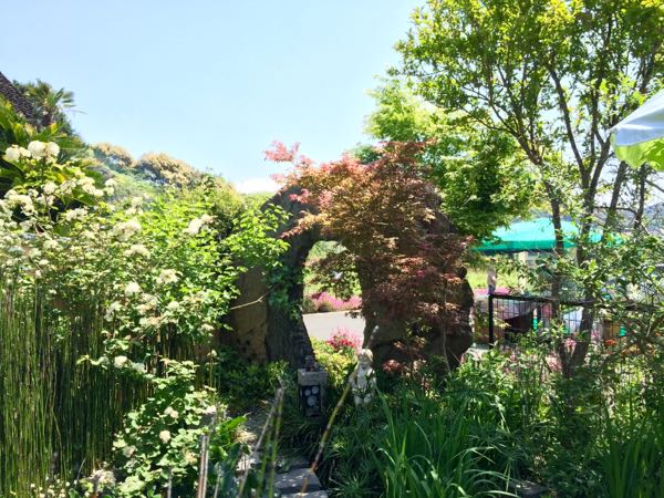 rblog-20160429164931-02.jpg
