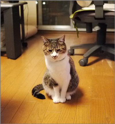 すっぱいすっぱい！