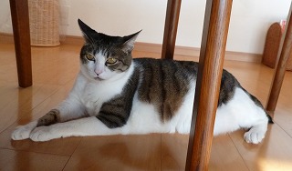 P1110403-ass.jpg