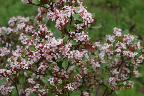 DSC_0067.JPG
