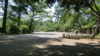 公園.jpg