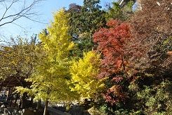 荒川キャンプ場