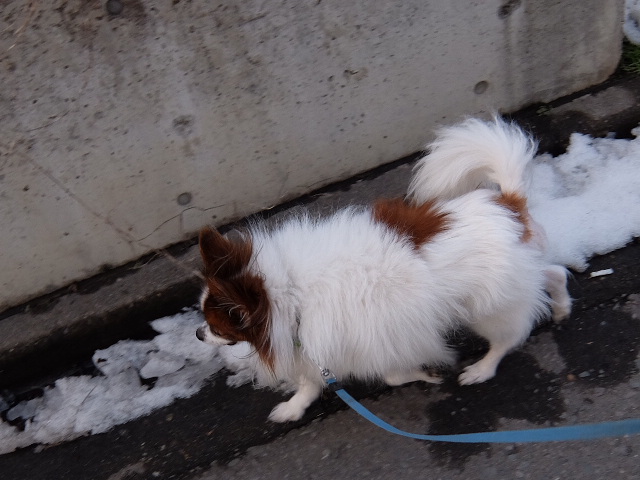 2016_0207_04521700.jpg