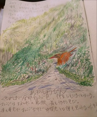 野鳥5.jpg