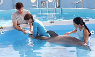 Dolphin-Tale2.jpg
