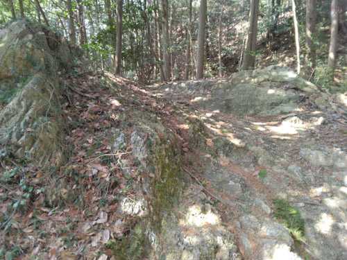 リハビリ登山は奥武蔵越生町の越上山(おがみやま)566m | やっぱり山と花が好き - 楽天ブログ
