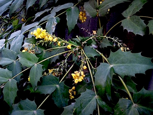 120405_145905.jpg