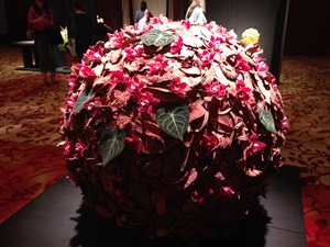 伝統花伝　０３.JPG