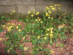 Photo_2