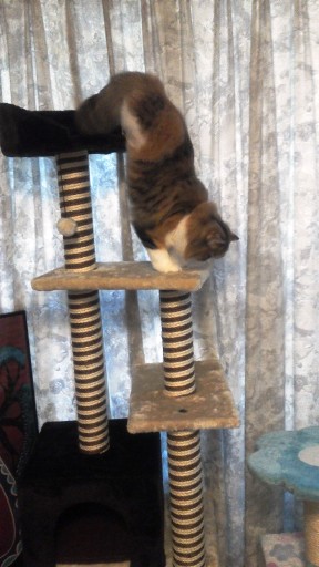 20131224160706.jpg